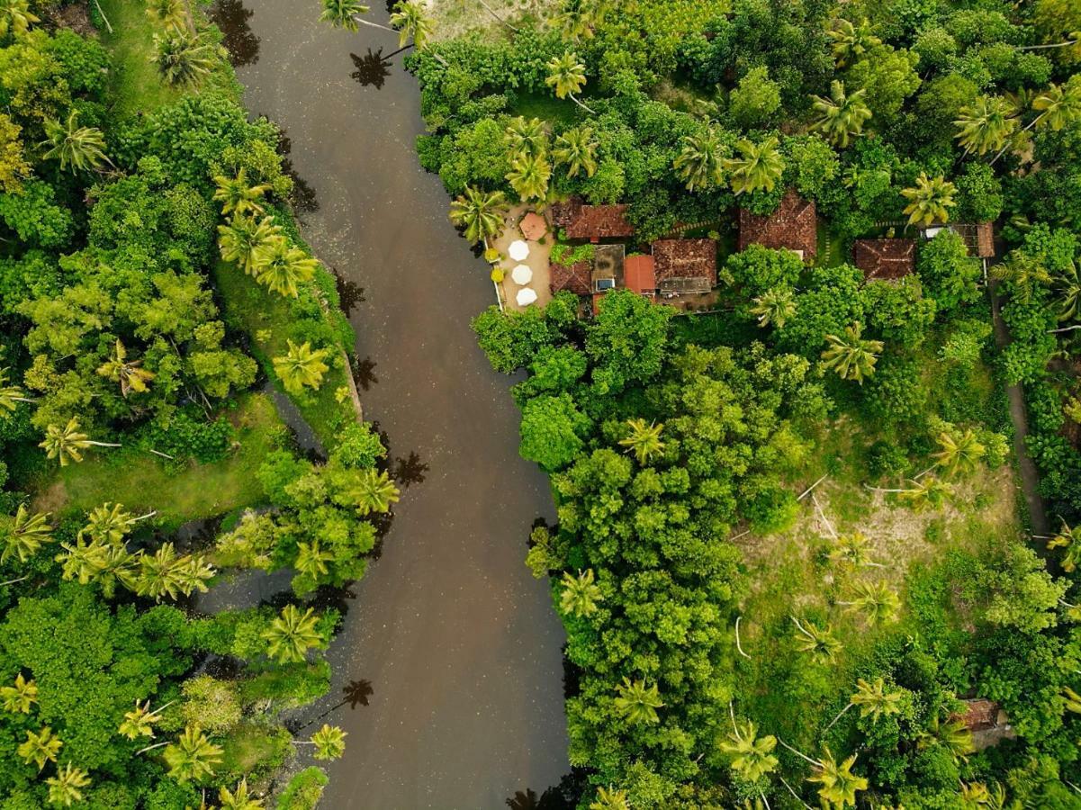 Heritage Marari Mararikulam Ngoại thất bức ảnh